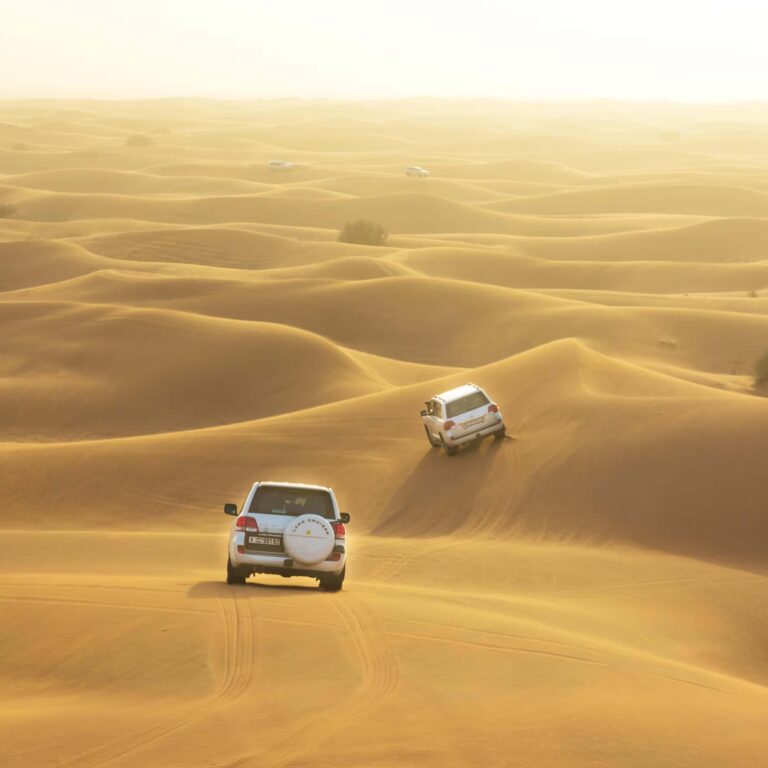 Dubai & Abu Dhabi